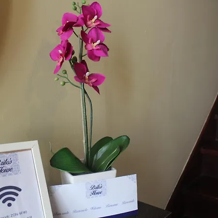 Brito's House アパート *